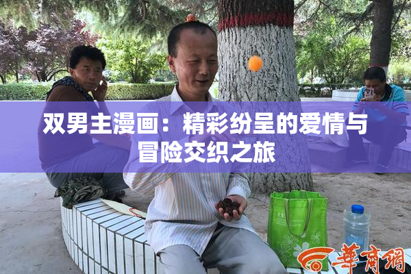 双男主漫画：精彩纷呈的爱情与冒险交织之旅