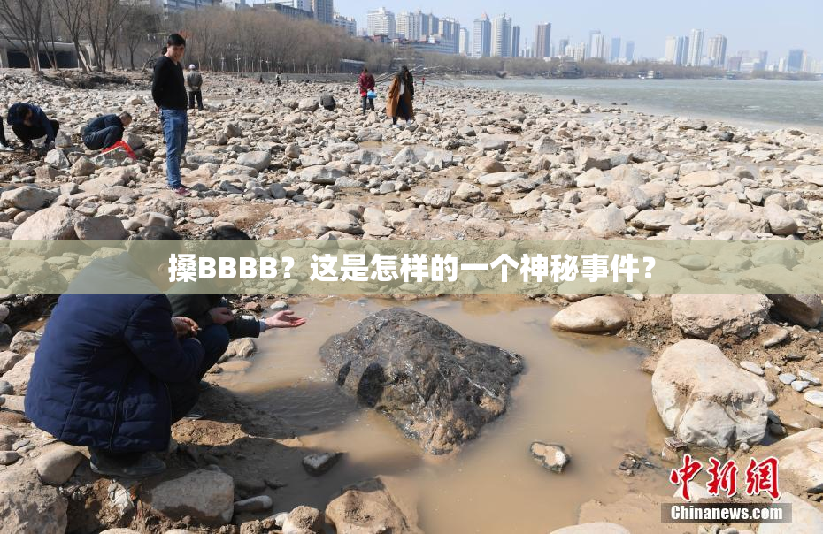 搡BBBB？这是怎样的一个神秘事件？