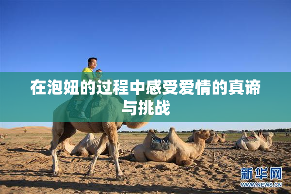 在泡妞的过程中感受爱情的真谛与挑战