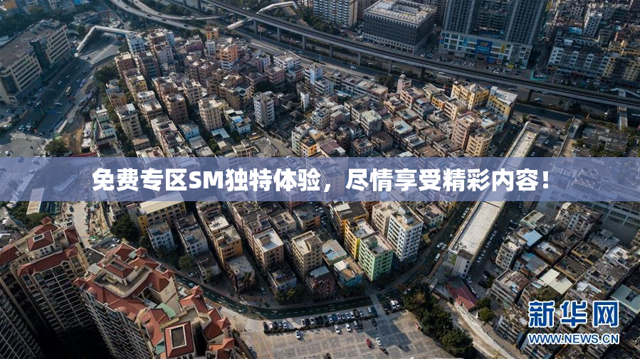 免费专区SM独特体验，尽情享受精彩内容！