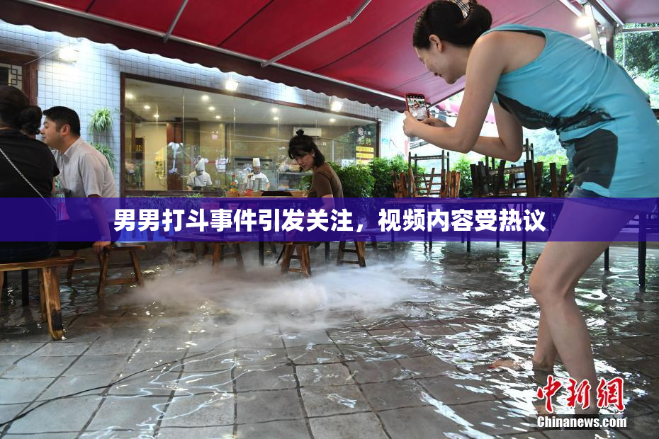 男男打斗事件引发关注，视频内容受热议