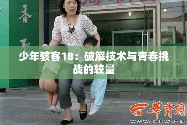 少年骇客18：破解技术与青春挑战的较量