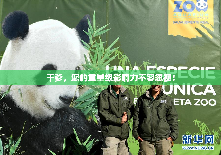 干爹，您的重量级影响力不容忽视！