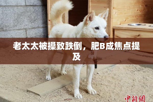 老太太被搡致跌倒，肥B成焦点提及