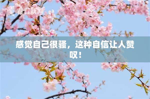 感觉自己很骚，这种自信让人赞叹！