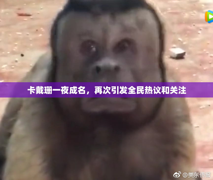 卡戴珊一夜成名，再次引发全民热议和关注