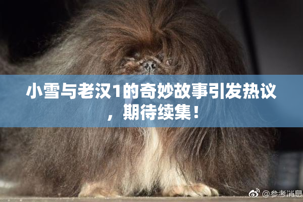 小雪与老汉1的奇妙故事引发热议，期待续集！