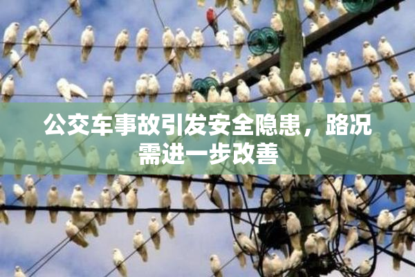 公交车事故引发安全隐患，路况需进一步改善