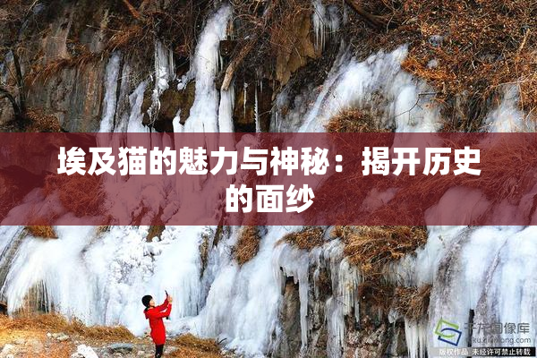 埃及猫的魅力与神秘：揭开历史的面纱