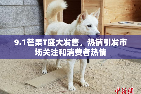 9.1芒果T盛大发售，热销引发市场关注和消费者热情