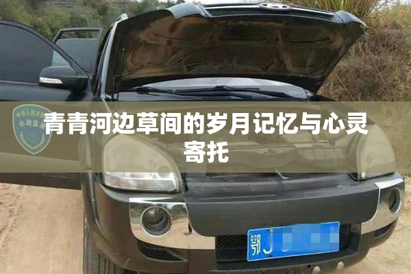 青青河边草间的岁月记忆与心灵寄托
