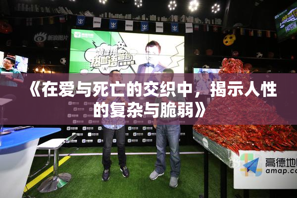 《在爱与死亡的交织中，揭示人性的复杂与脆弱》