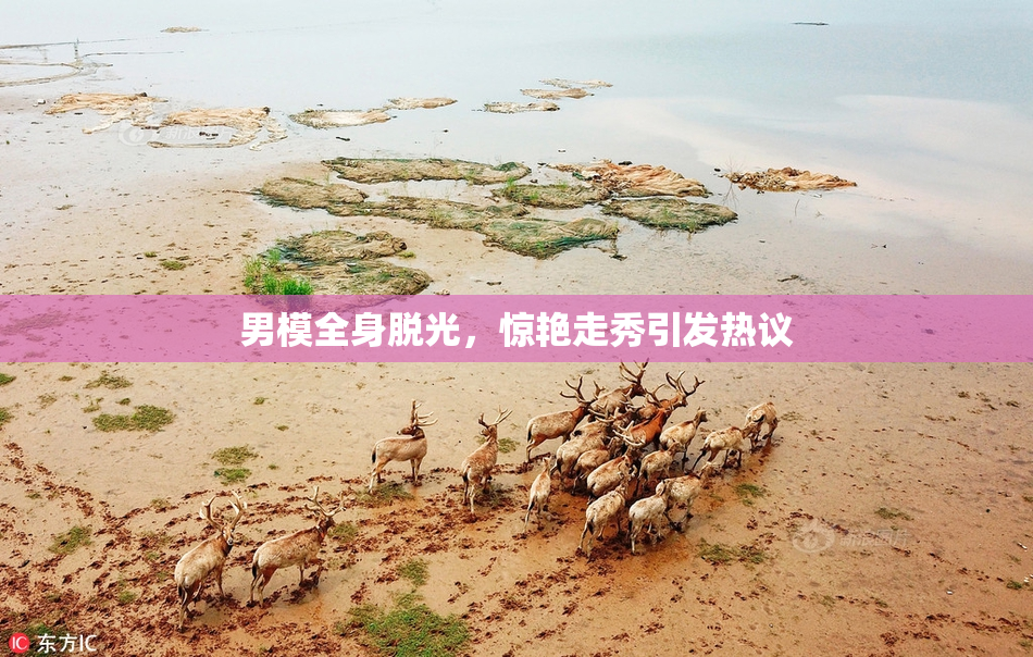 男模全身脱光，惊艳走秀引发热议