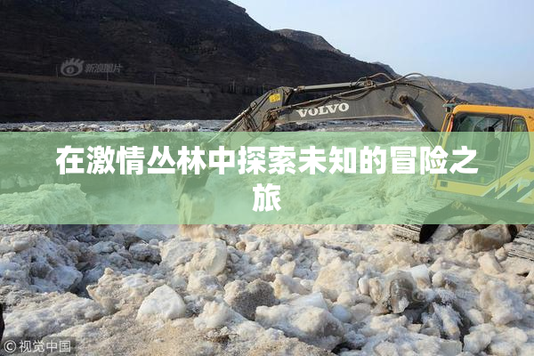 在激情丛林中探索未知的冒险之旅