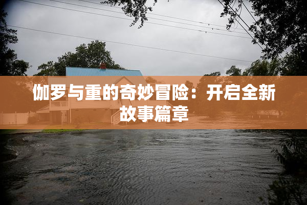 伽罗与重的奇妙冒险：开启全新故事篇章