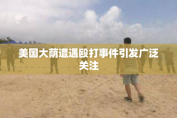 美国大荫遭遇殴打事件引发广泛关注