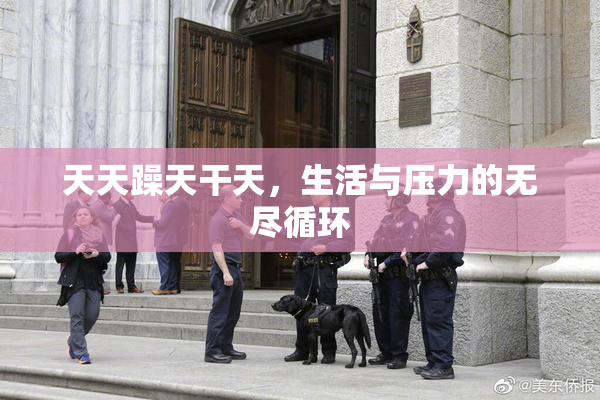 天天躁天干天，生活与压力的无尽循环