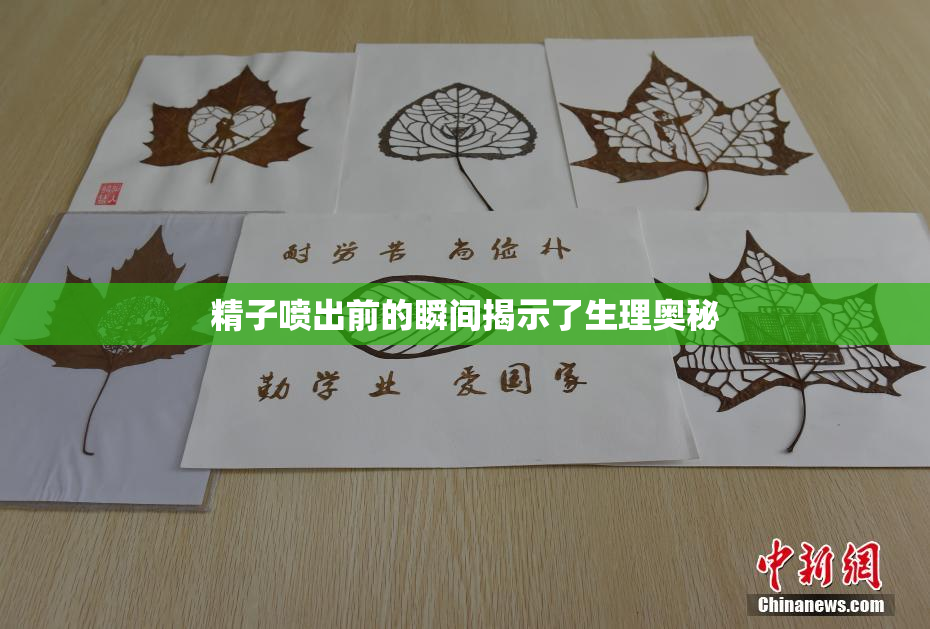 精子喷出前的瞬间揭示了生理奥秘