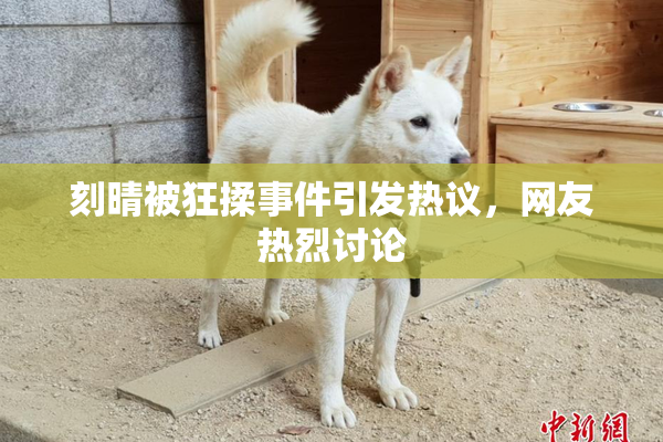 刻晴被狂揉事件引发热议，网友热烈讨论
