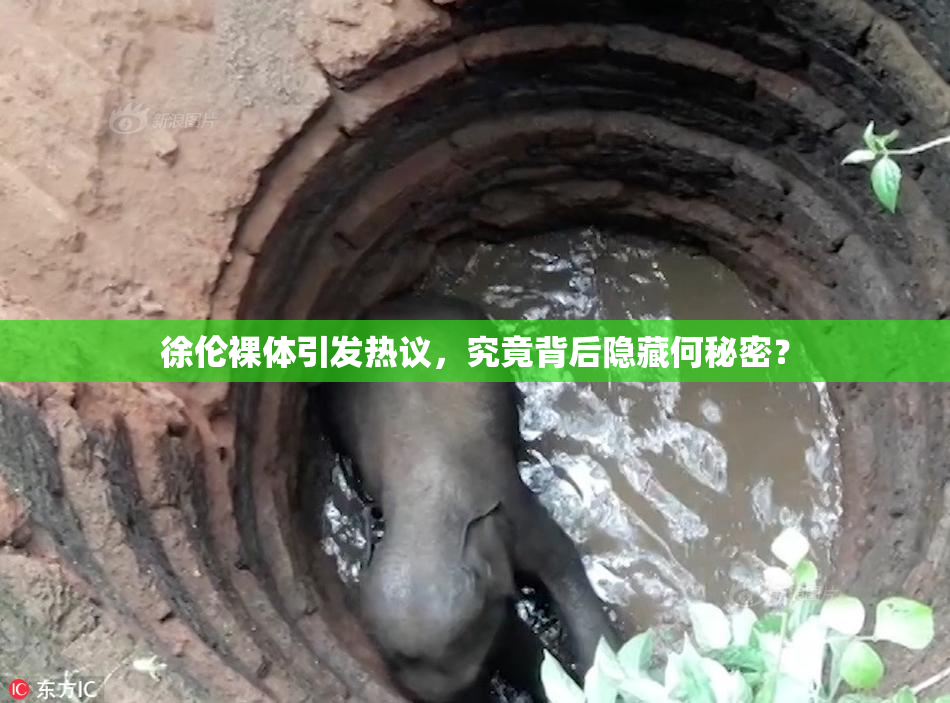 徐伦裸体引发热议，究竟背后隐藏何秘密？