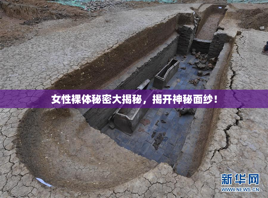 女性裸体秘密大揭秘，揭开神秘面纱！