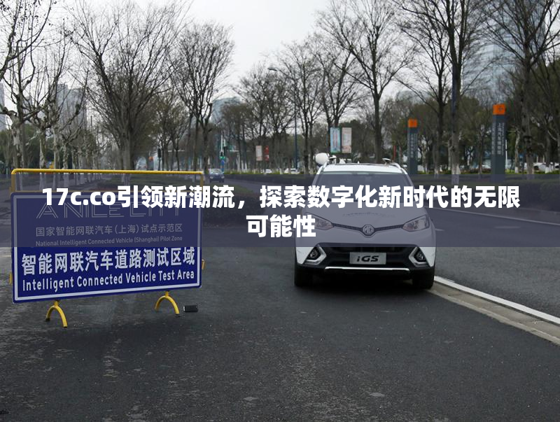 17c.co引领新潮流，探索数字化新时代的无限可能性