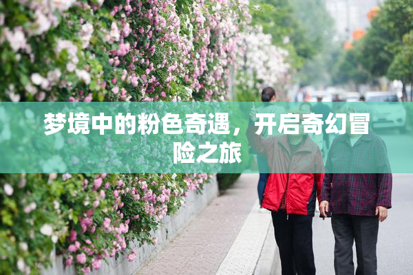梦境中的粉色奇遇，开启奇幻冒险之旅