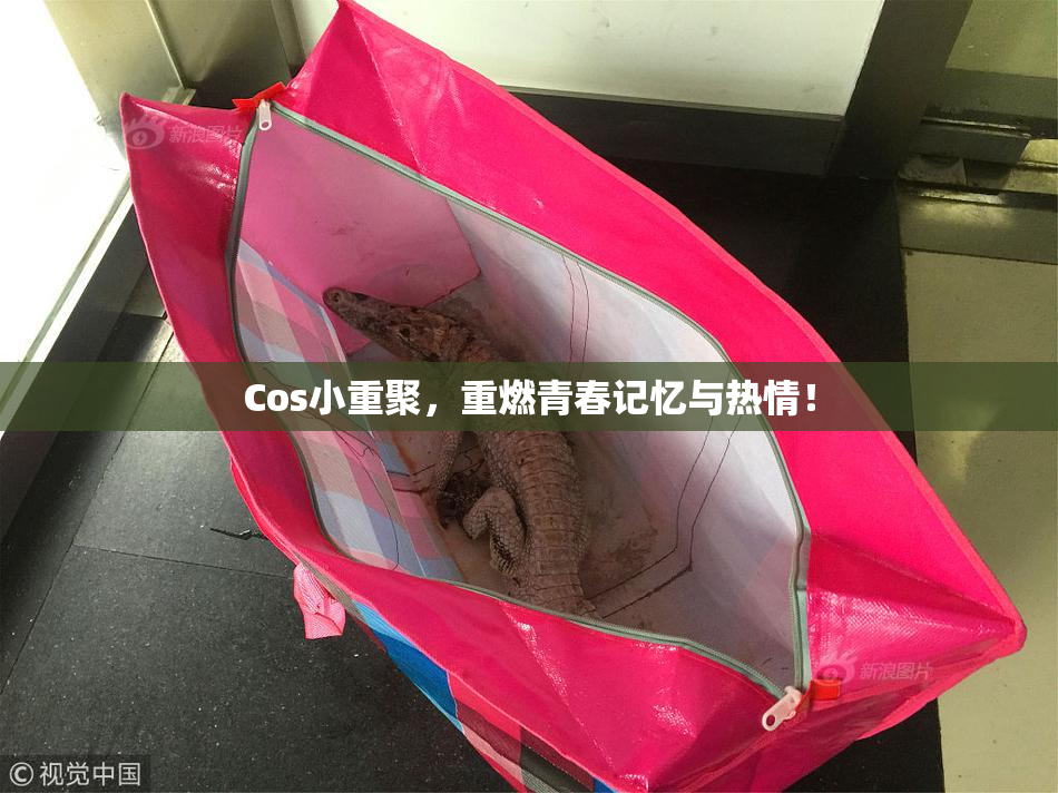 Cos小重聚，重燃青春记忆与热情！