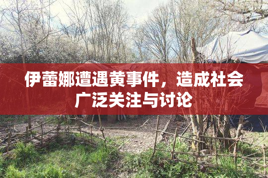 伊蕾娜遭遇黄事件，造成社会广泛关注与讨论