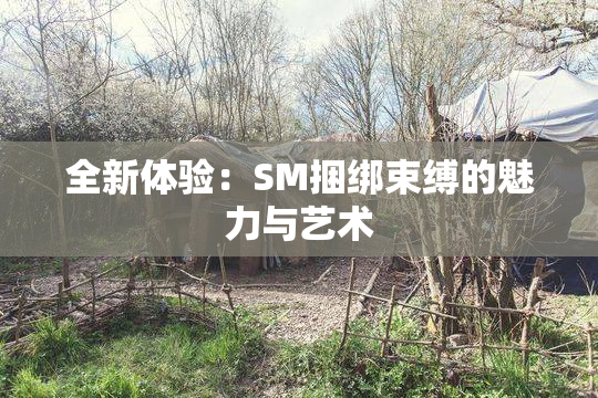 全新体验：SM捆绑束缚的魅力与艺术