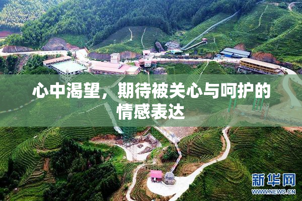 心中渴望，期待被关心与呵护的情感表达