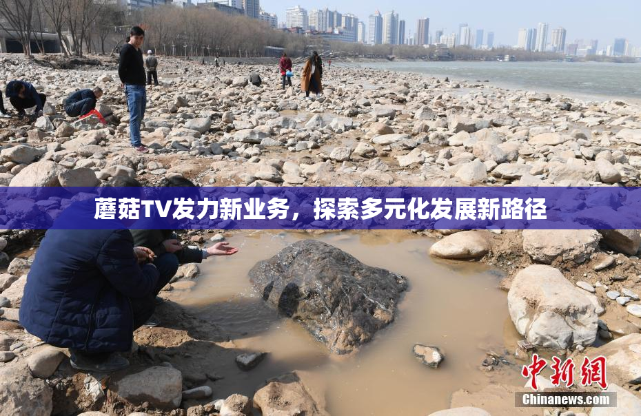 蘑菇TV发力新业务，探索多元化发展新路径
