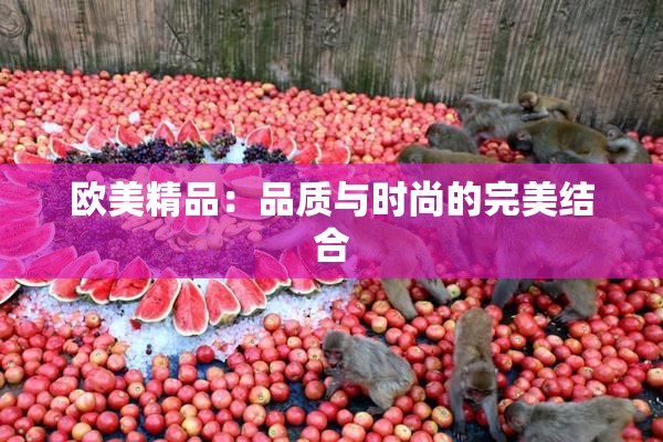 欧美精品：品质与时尚的完美结合