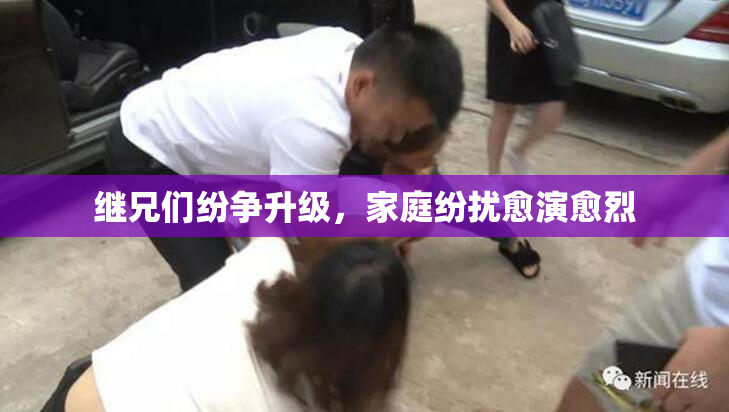 继兄们纷争升级，家庭纷扰愈演愈烈
