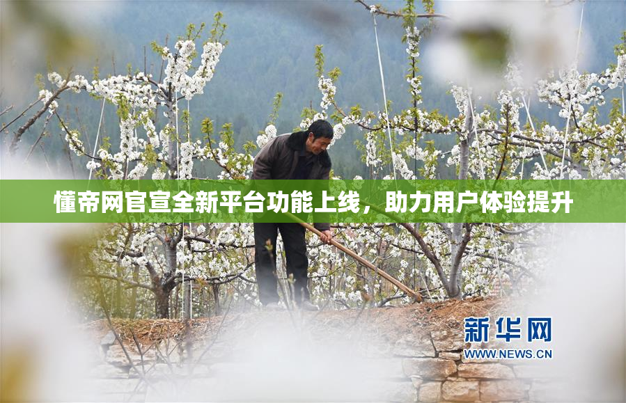 懂帝网官宣全新平台功能上线，助力用户体验提升