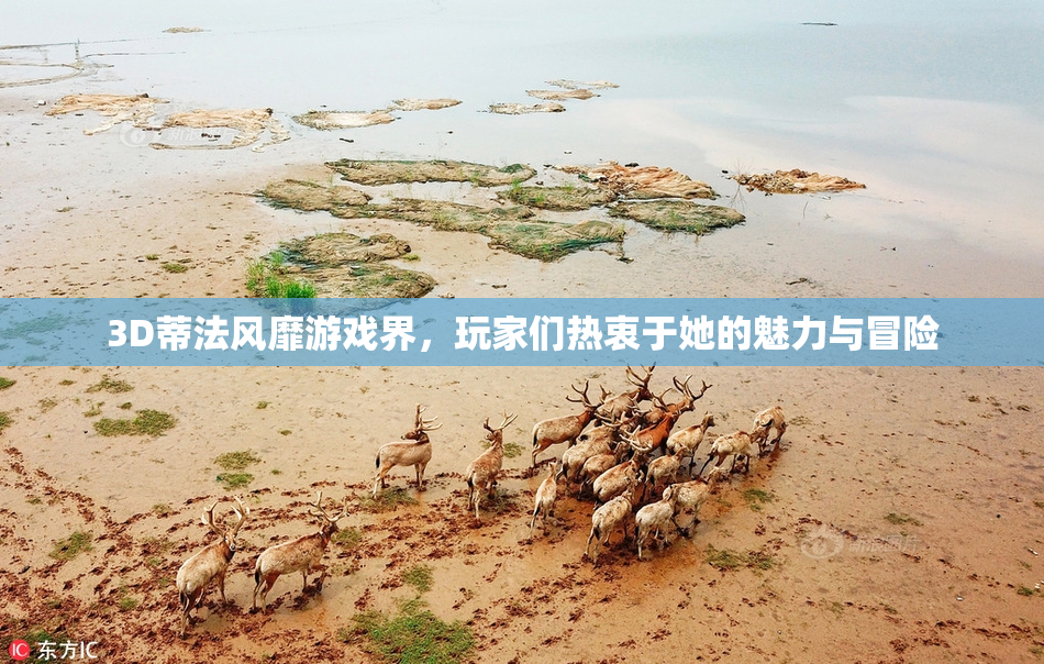 3D蒂法风靡游戏界，玩家们热衷于她的魅力与冒险