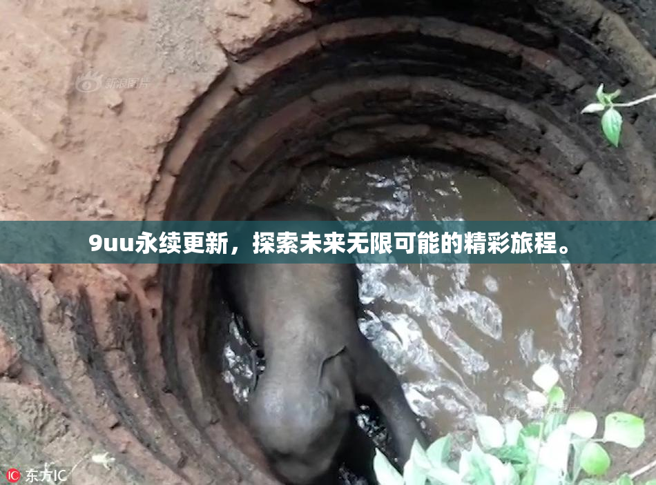 9uu永续更新，探索未来无限可能的精彩旅程。