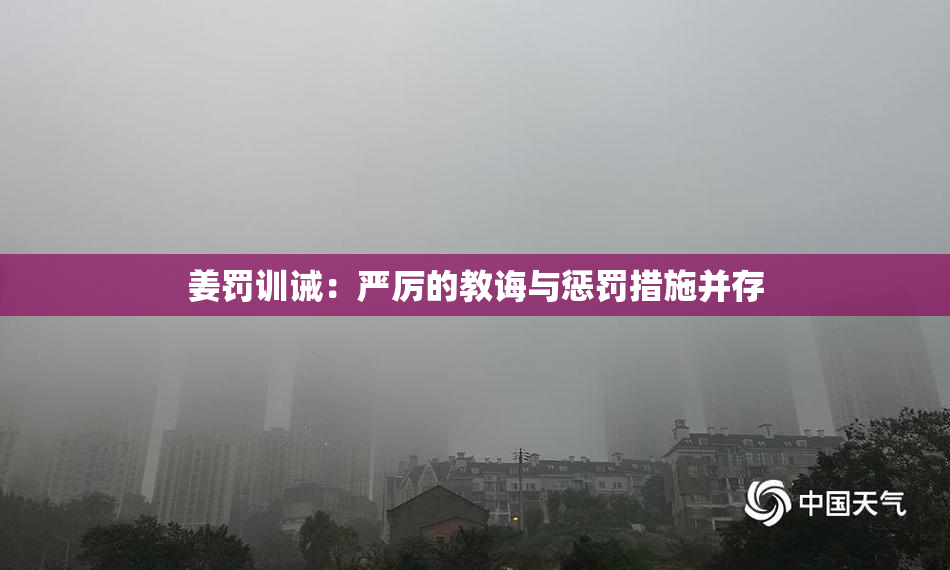 姜罚训诫：严厉的教诲与惩罚措施并存