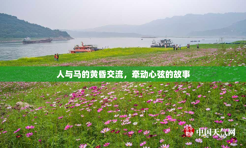 人与马的黄昏交流，牵动心弦的故事