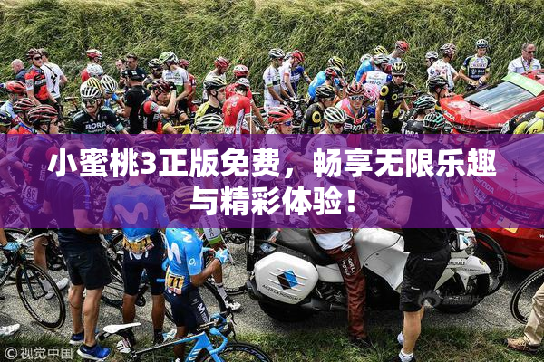 小蜜桃3正版免费，畅享无限乐趣与精彩体验！