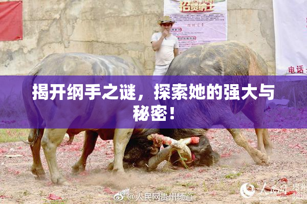 揭开纲手之谜，探索她的强大与秘密！