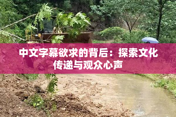 中文字幕欲求的背后：探索文化传递与观众心声