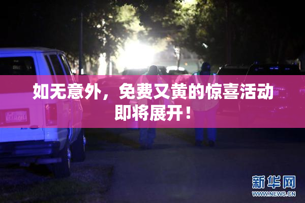 如无意外，免费又黄的惊喜活动即将展开！