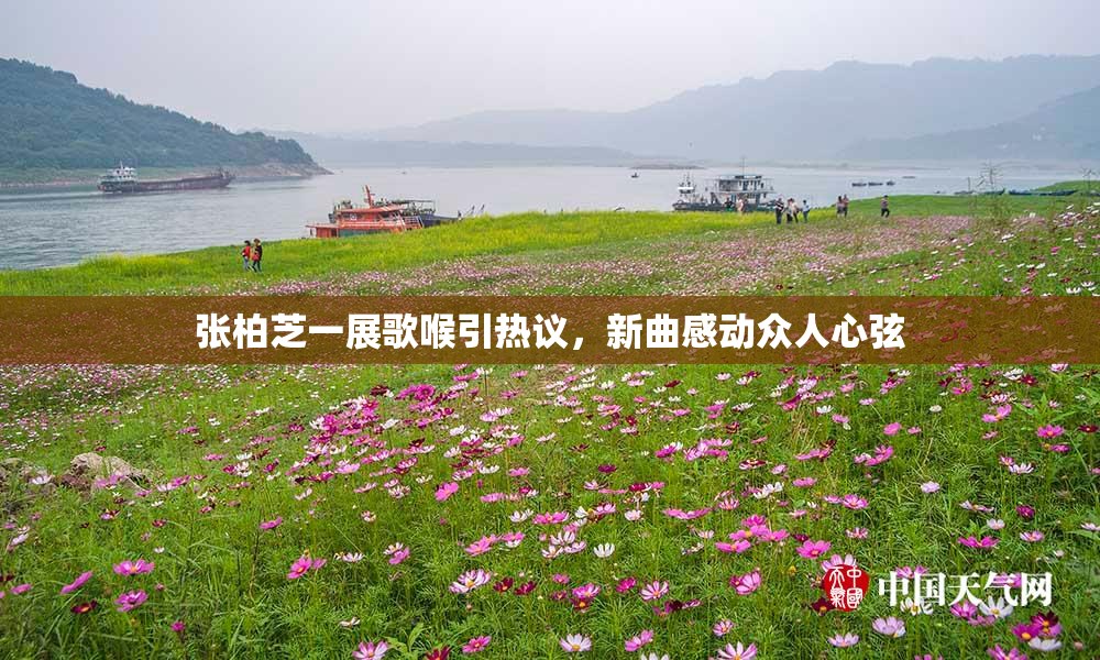 张柏芝一展歌喉引热议，新曲感动众人心弦