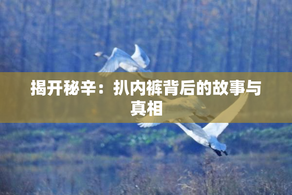 揭开秘辛：扒内裤背后的故事与真相