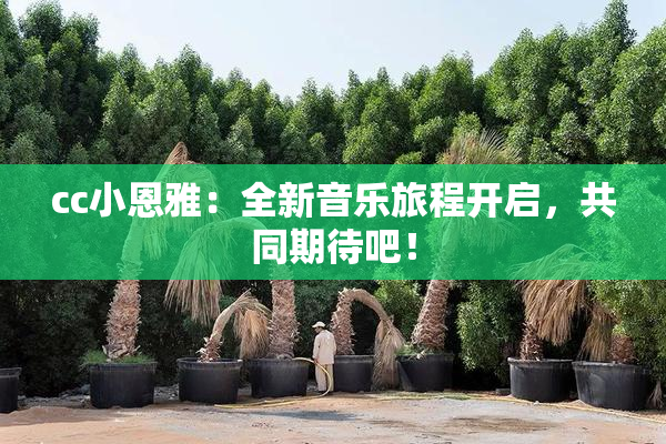 cc小恩雅：全新音乐旅程开启，共同期待吧！