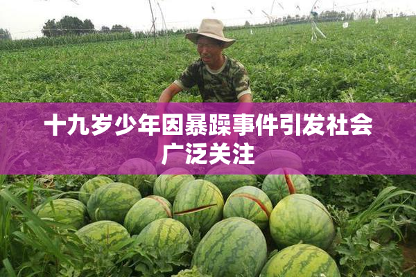 十九岁少年因暴躁事件引发社会广泛关注
