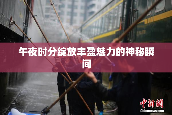 午夜时分绽放丰盈魅力的神秘瞬间