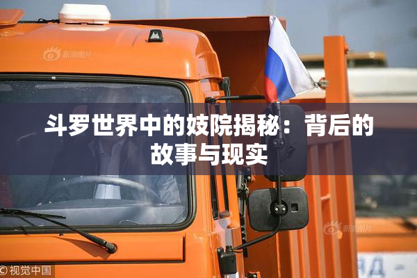 斗罗世界中的妓院揭秘：背后的故事与现实