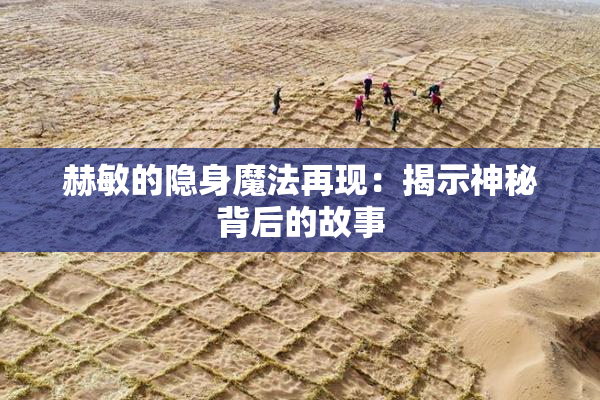 赫敏的隐身魔法再现：揭示神秘背后的故事